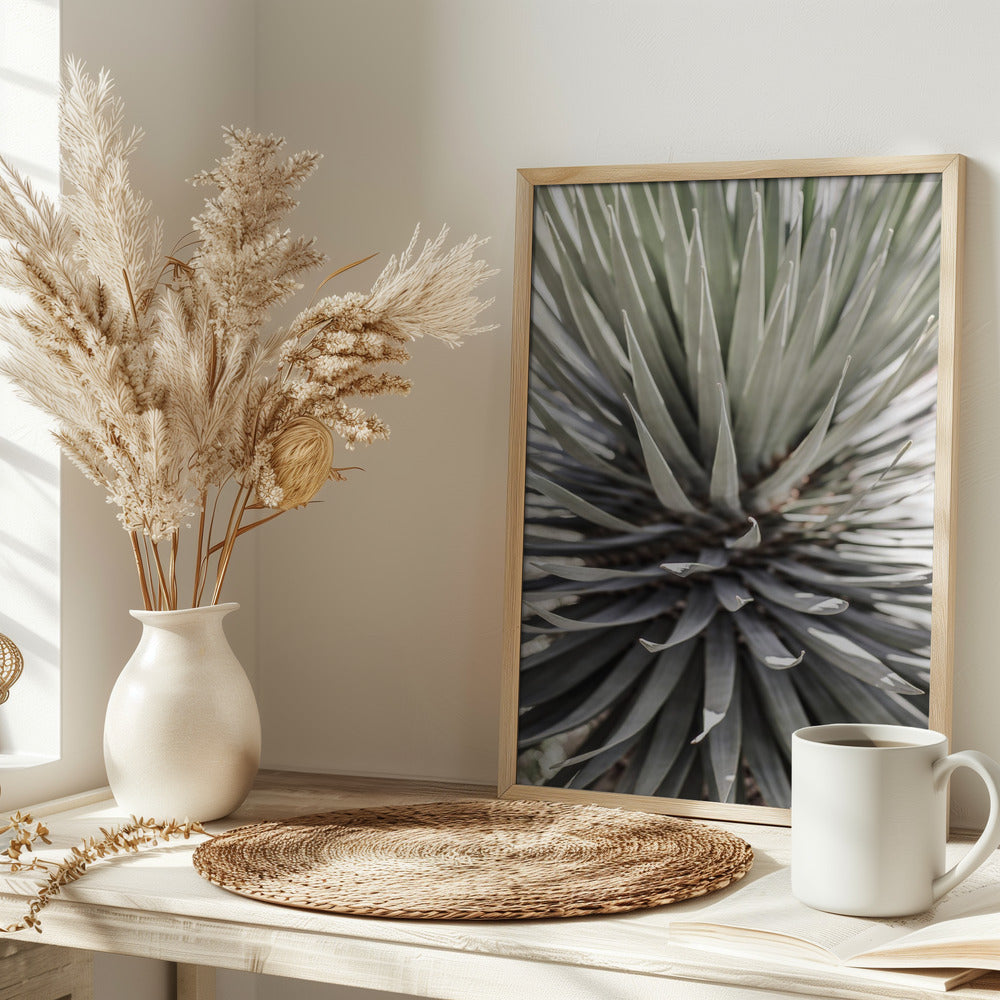 Desert Apple Poster